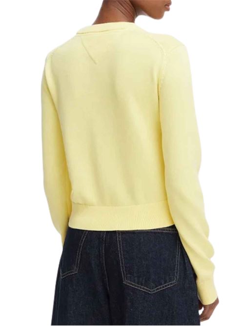 Maglione in cotone con logo Tommy Jeans | DW0DW22930ZF0